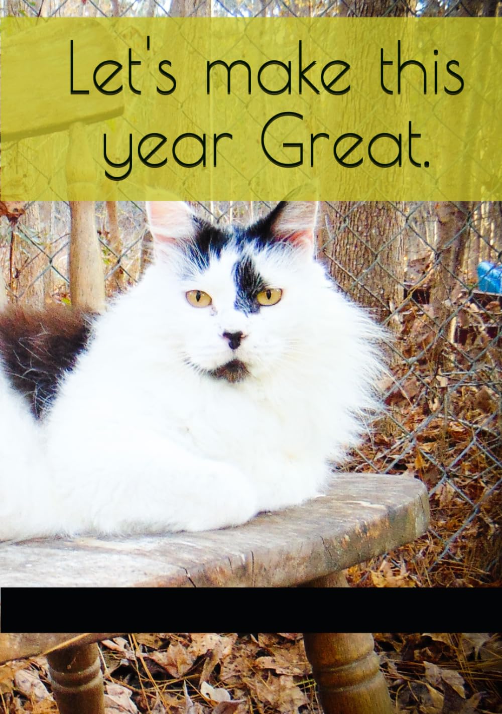 Let's make this year Great (Independently published)
Let's make this year Great (Independently published)