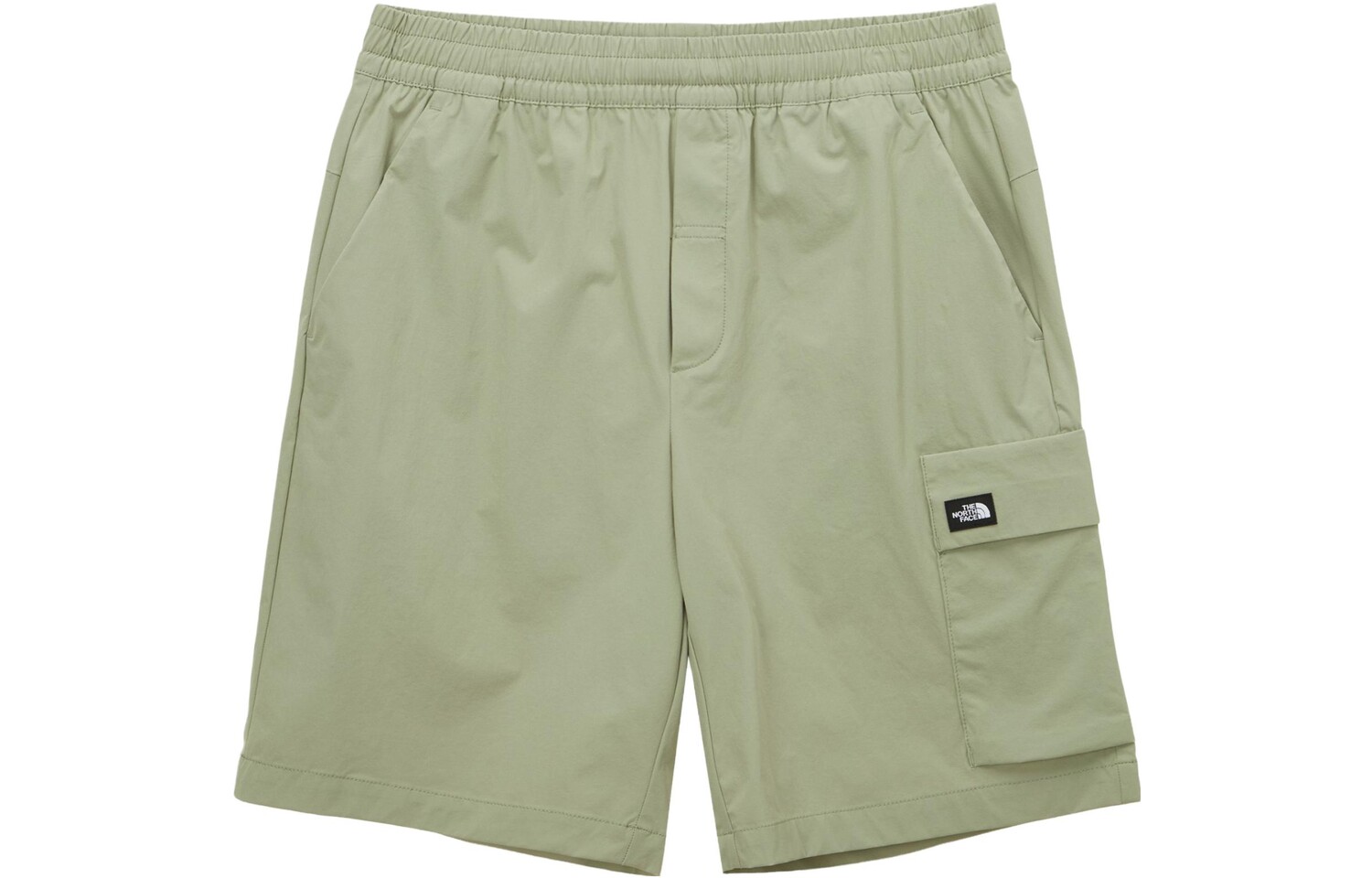 THE NORTH FACE Мужские повседневные шорты, цвет Army Green
THE NORTH FACE Мужские повседневные шорты, цвет Army Green