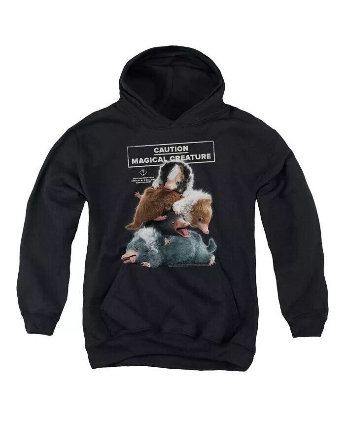 2 Молодежная толстовка с капюшоном Cuddle Puddle Pull Over Hoodie / Толстовка с капюшоном Fantastic Beasts, черный
2 Молодежная толстовка с капюшоном Cuddle Puddle Pull Over Hoodie / Толстовка с капюшоном Fantastic Beasts, черный