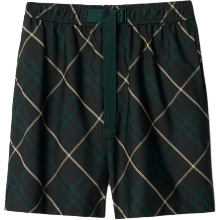 Повседневные шорты мужские зеленые Burberry, зеленый
Повседневные шорты мужские зеленые Burberry, зеленый