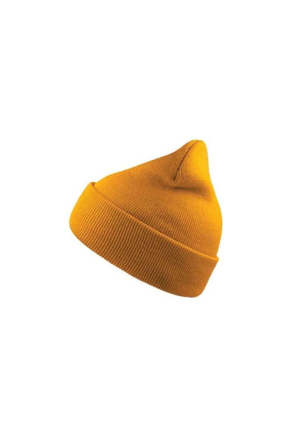 Двойная шапка Wind с отворотом Atlantis, желтый
Двойная шапка Wind с отворотом Atlantis, желтый