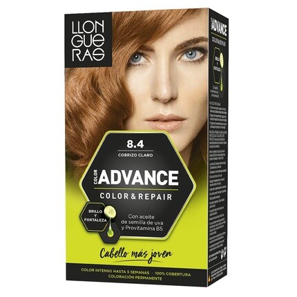 Llong Advance 8.4 Медный класс, Llongueras
Llong Advance 8.4 Медный класс, Llongueras