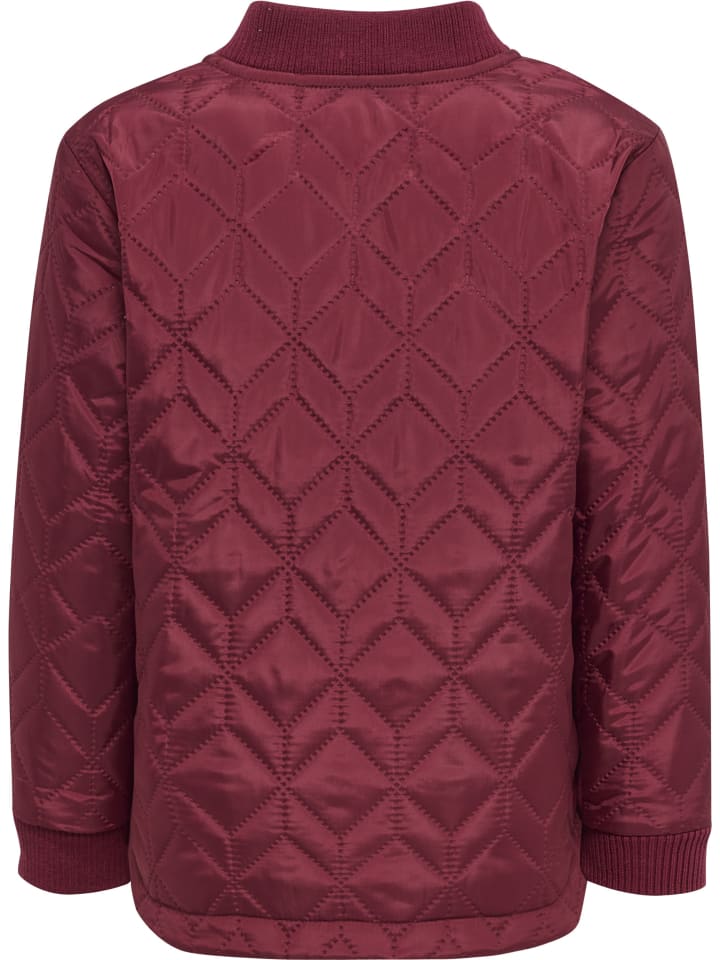 Лыжные штаны Hummel, цвет rhododendron
Лыжные штаны Hummel, цвет rhododendron