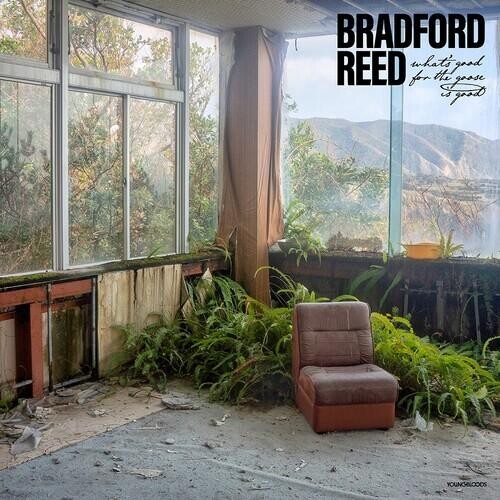Виниловая пластинка Reed, Bradford - What'S Good For The Goose Is Good
Виниловая пластинка Reed, Bradford - What'S Good For The Goose Is Good