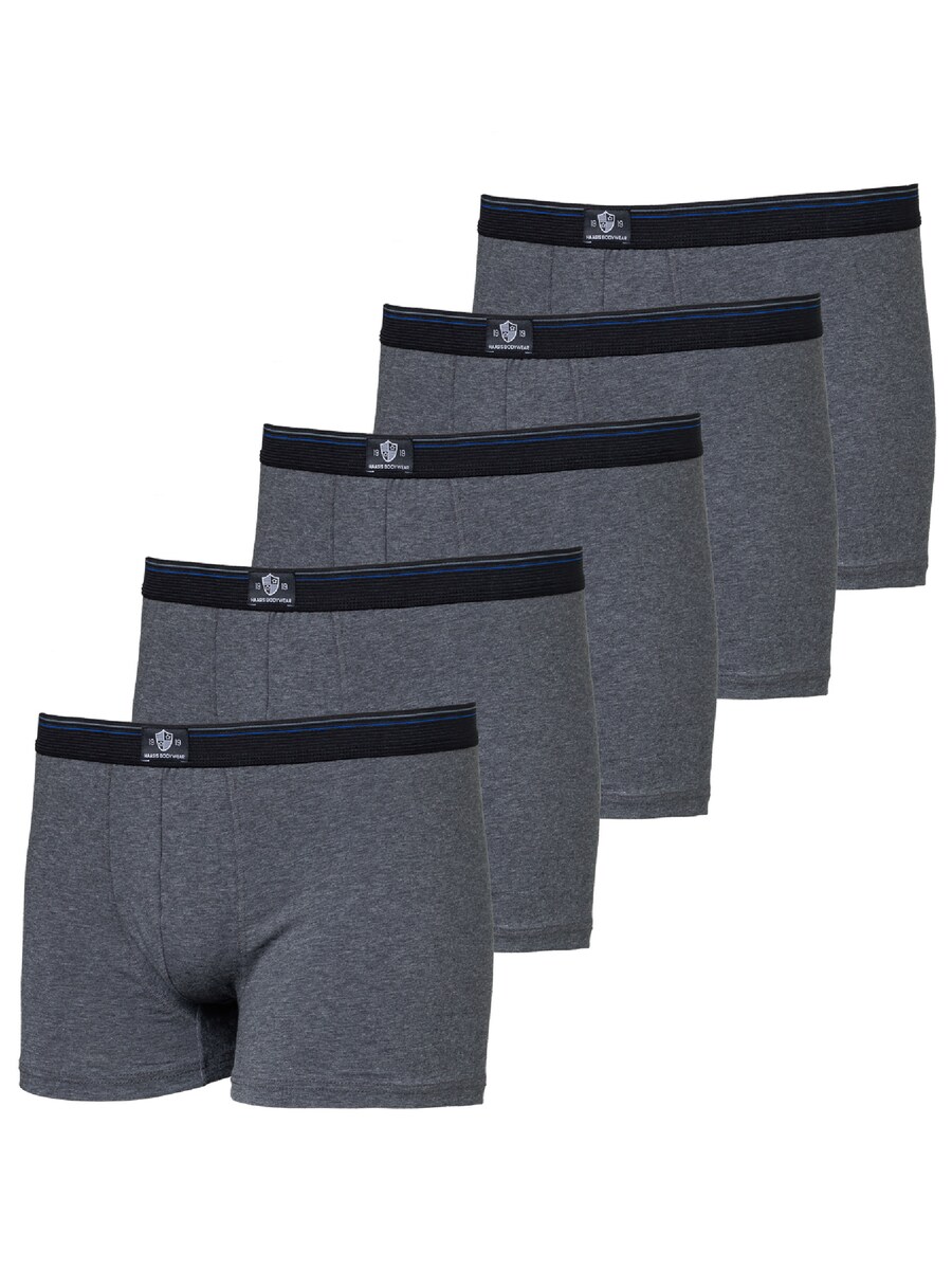 Боксеры Haasis Bodywear, Mottled Grey
Боксеры Haasis Bodywear, Mottled Grey