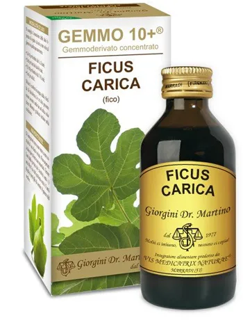 Giorgini Gemmo 10+ Безалкогольный Инжир 100 мл Подходит также для детей Dr. Giorgini
Giorgini Gemmo 10+ Безалкогольный Инжир 100 мл Подходит также для детей Dr. Giorgini