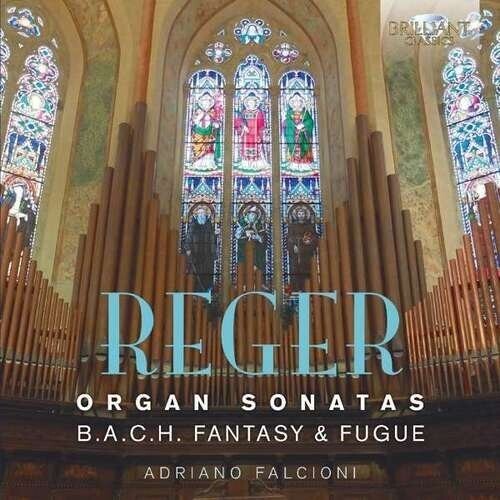 CD диск Reger / Falcioni: Reger: Organ Sonatas
CD диск Reger / Falcioni: Reger: Organ Sonatas