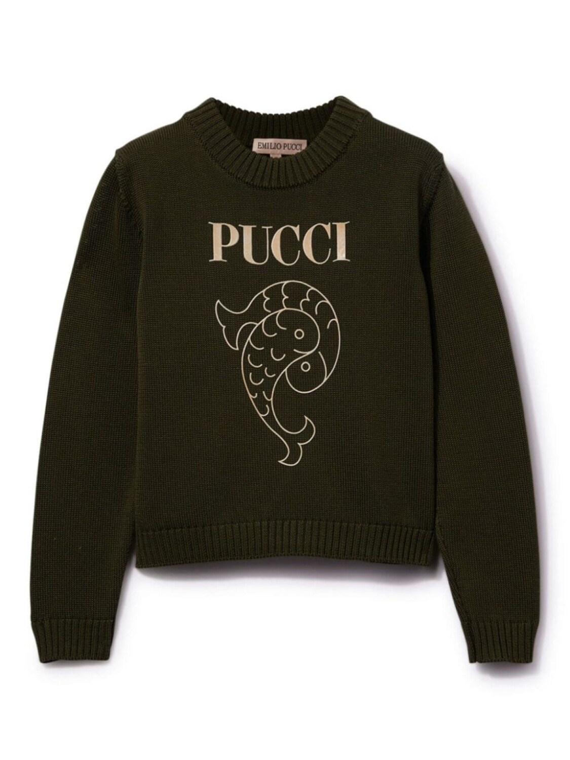 PUCCI Junior джемпер с принтом Pesci, зеленый 
PUCCI Junior джемпер с принтом Pesci, зеленый