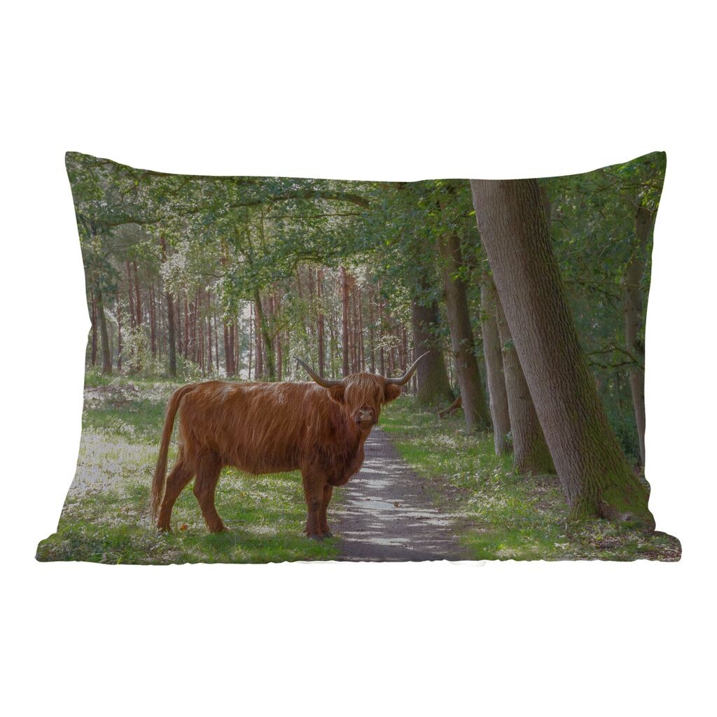 Уличная подушка MuchoWow - Шотландский горец - Жаба - Дерево - 60x40 см - Устойчивость к атмосферным воздействиям - Подушка для отдыха - Чехлы для подушек - Декоративные чехлы для подушек - Декоративные чехлы для подушек, мультиколор
Уличная подушка MuchoWow - Шотландский горец - Жаба - Дерево - 60x40 см - Устойчивость к атмосферным воздействиям - Подушка для отдыха - Чехлы для подушек - Декоративные чехлы для подушек - Декоративные чехлы для подушек, мультиколор