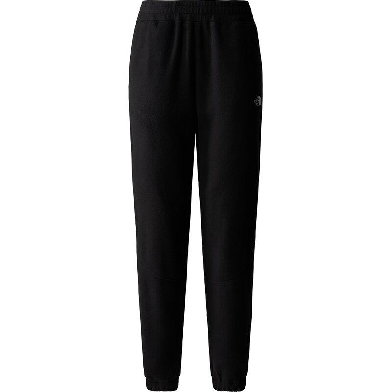 Спортивные брюки 100 Glacier Jogger The North Face, черный
Спортивные брюки 100 Glacier Jogger The North Face, черный