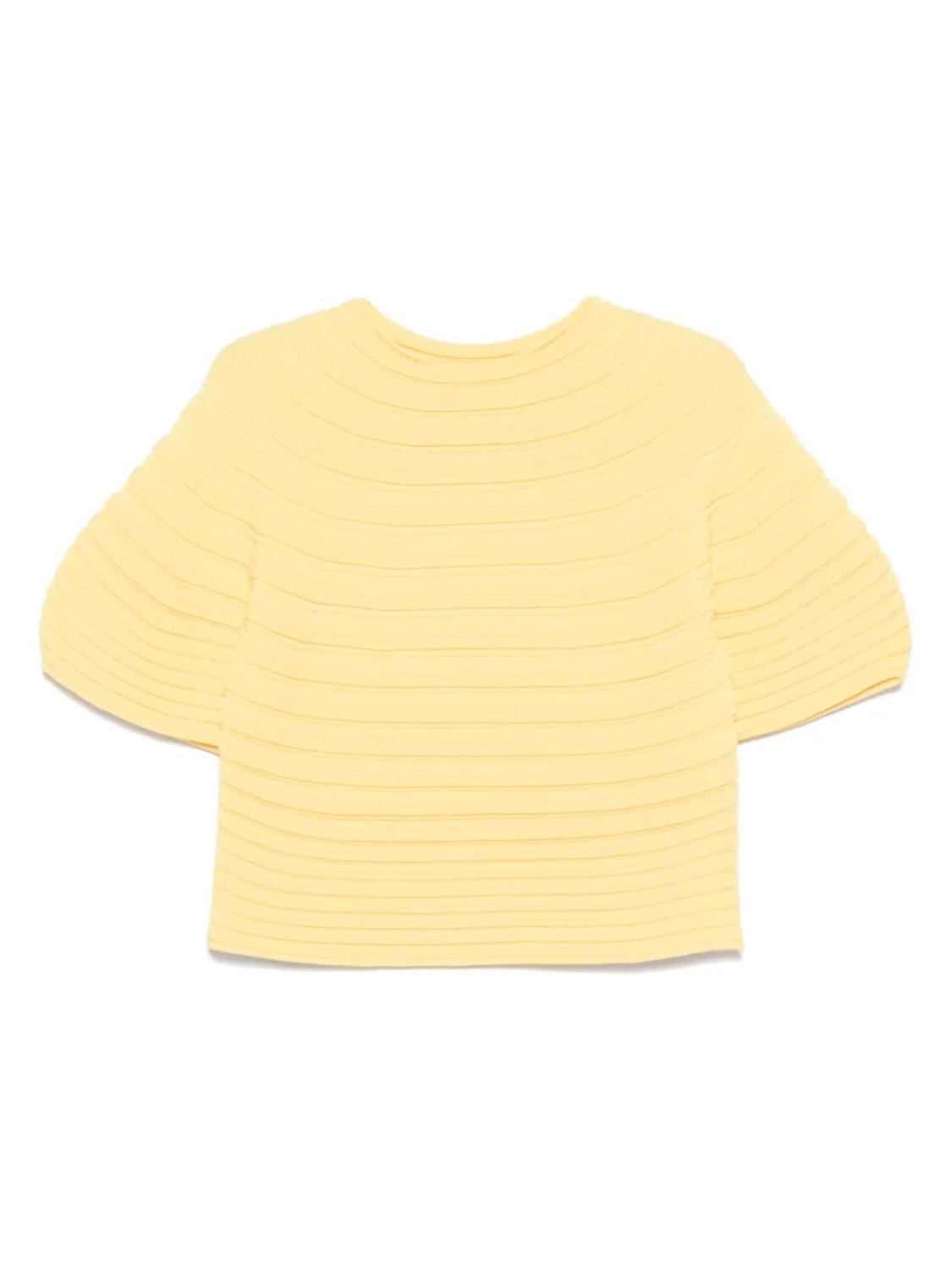 Pleats Please Issey Miyake Топ с грибами, желтый
Pleats Please Issey Miyake Топ с грибами, желтый