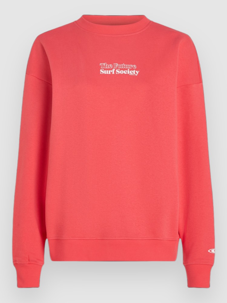 Свитер O'Neill The Future Surf Society Sweater, froly
Свитер O'Neill The Future Surf Society Sweater, froly
