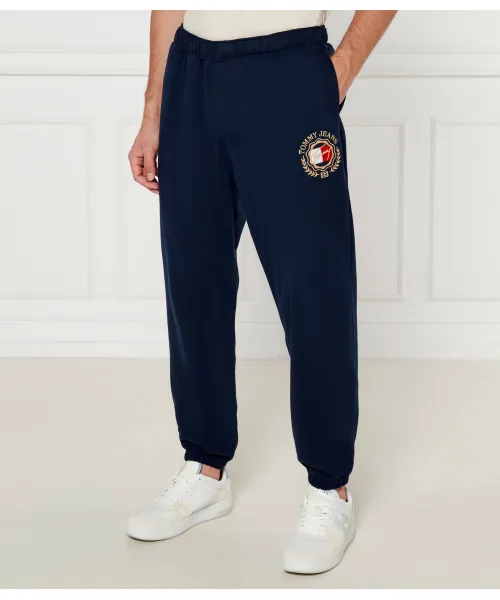 Спортивные штаны Prep Explorer Loose fit Tommy Jeans, синий 
Спортивные штаны Prep Explorer Loose fit Tommy Jeans, синий