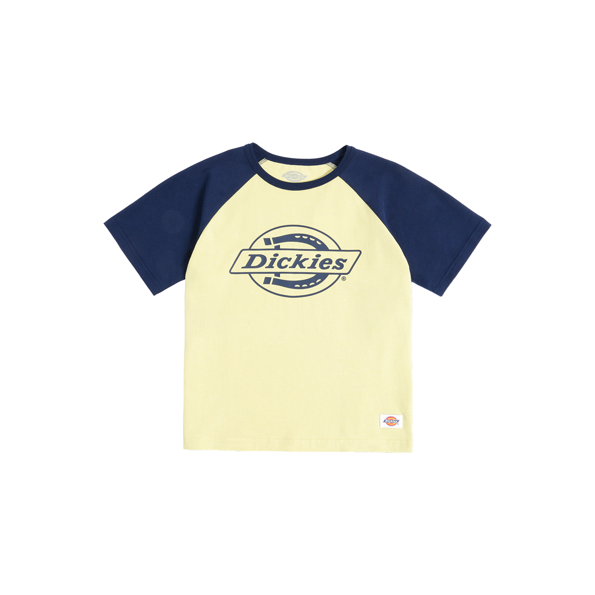 Детская футболка Dickies, зеленый/синий
Детская футболка Dickies, зеленый/синий