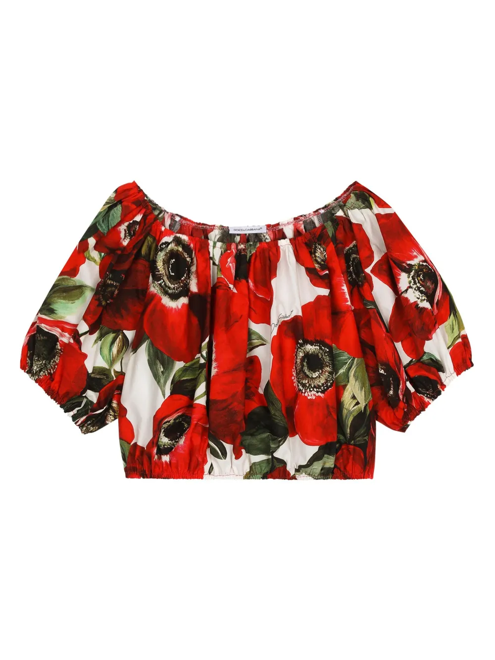 Укороченная блузка с принтом Anemone Dolce & Gabbana Kids, белый
Укороченная блузка с принтом Anemone Dolce & Gabbana Kids, белый