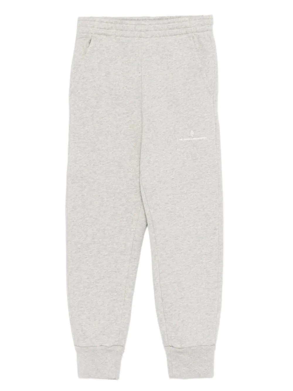 Спортивные брюки Draco с логотипом The Animals Observatory, серый
Спортивные брюки Draco с логотипом The Animals Observatory, серый