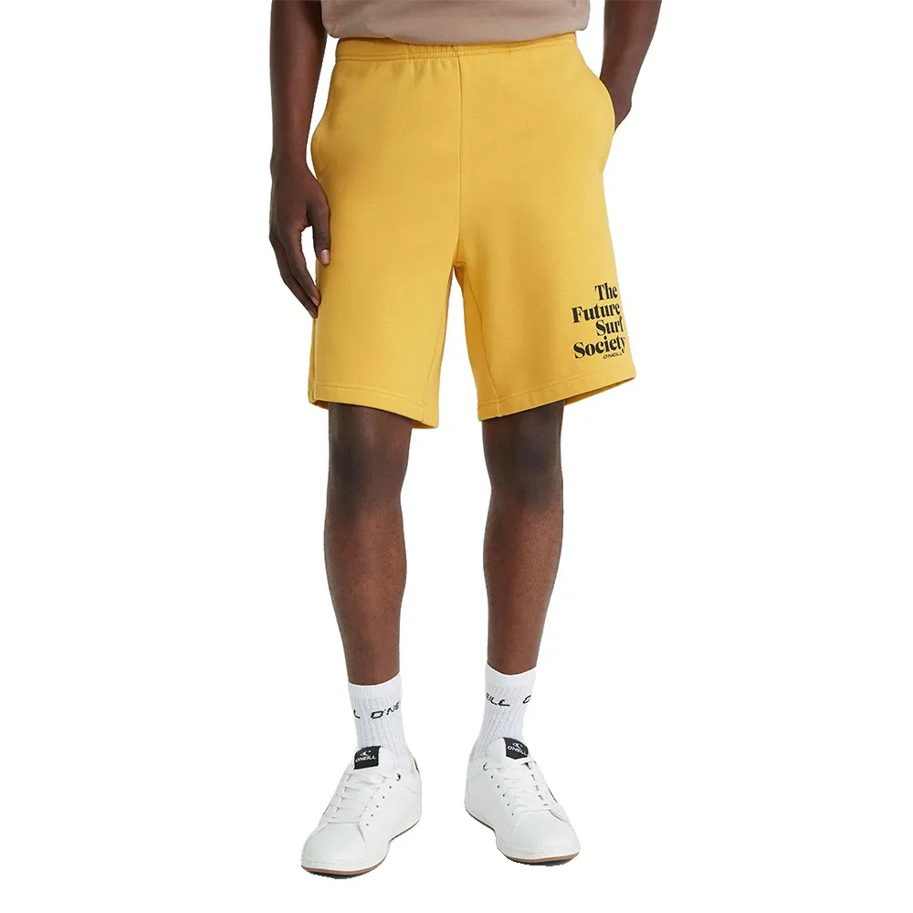 Спортивные шорты O´neill Future Surf Society, желтый
Спортивные шорты O´neill Future Surf Society, желтый