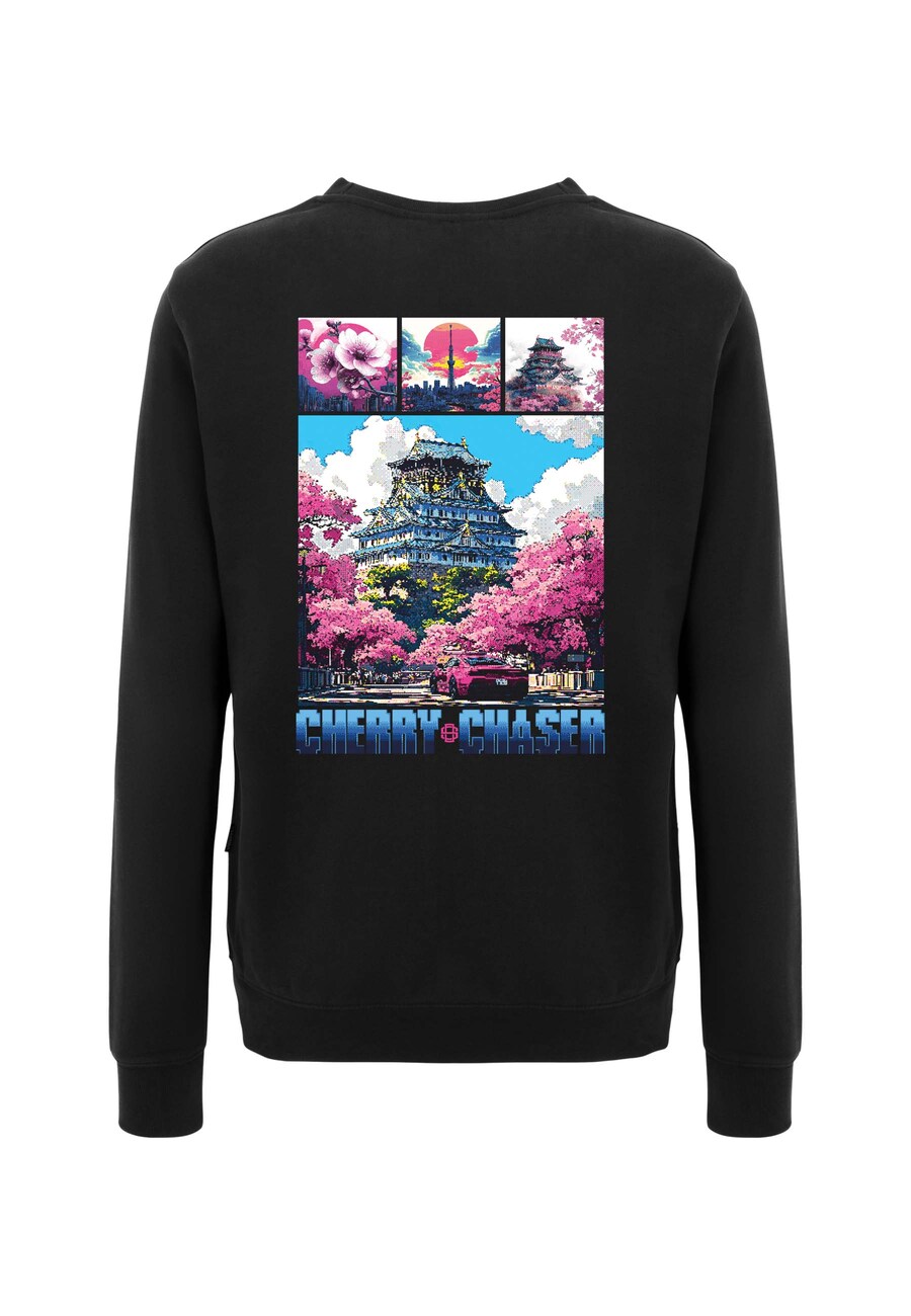 Толстовка Oldskull Retro Cherry Chaser Logo Graphic, черный
Толстовка Oldskull Retro Cherry Chaser Logo Graphic, черный