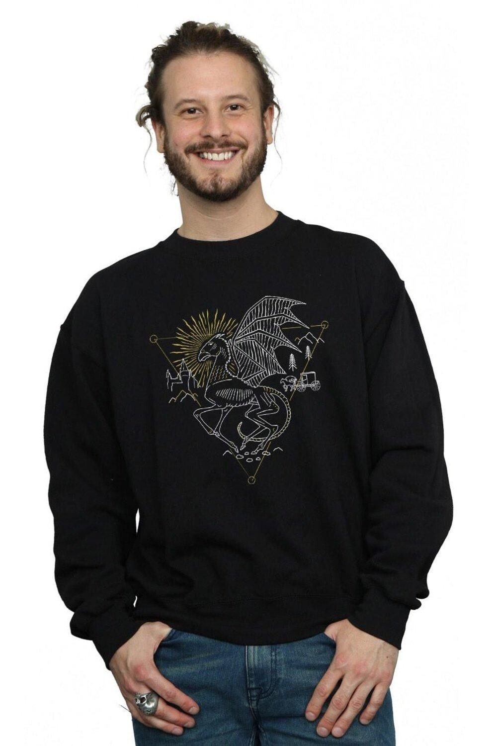 Толстовка Thestral Line Art Harry Potter, черный
Толстовка Thestral Line Art Harry Potter, черный