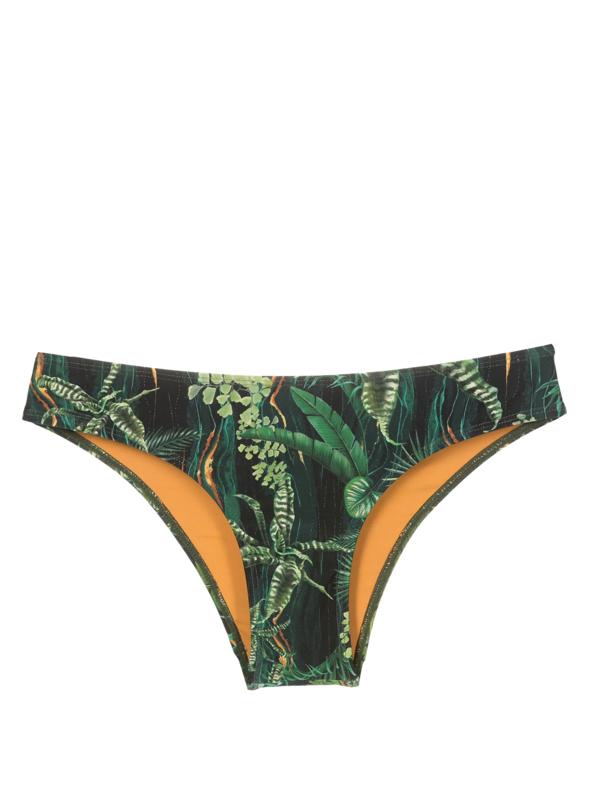 Плавки бикини Waikiki с принтом Lygia & Nanny, зеленый
Плавки бикини Waikiki с принтом Lygia & Nanny, зеленый