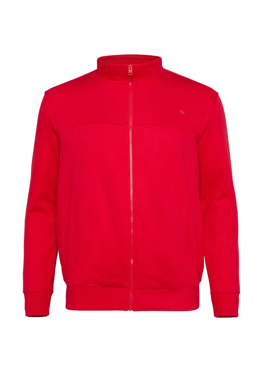 Толстовка с капюшоном на молнии s.Oliver, красный
Толстовка с капюшоном на молнии s.Oliver, красный