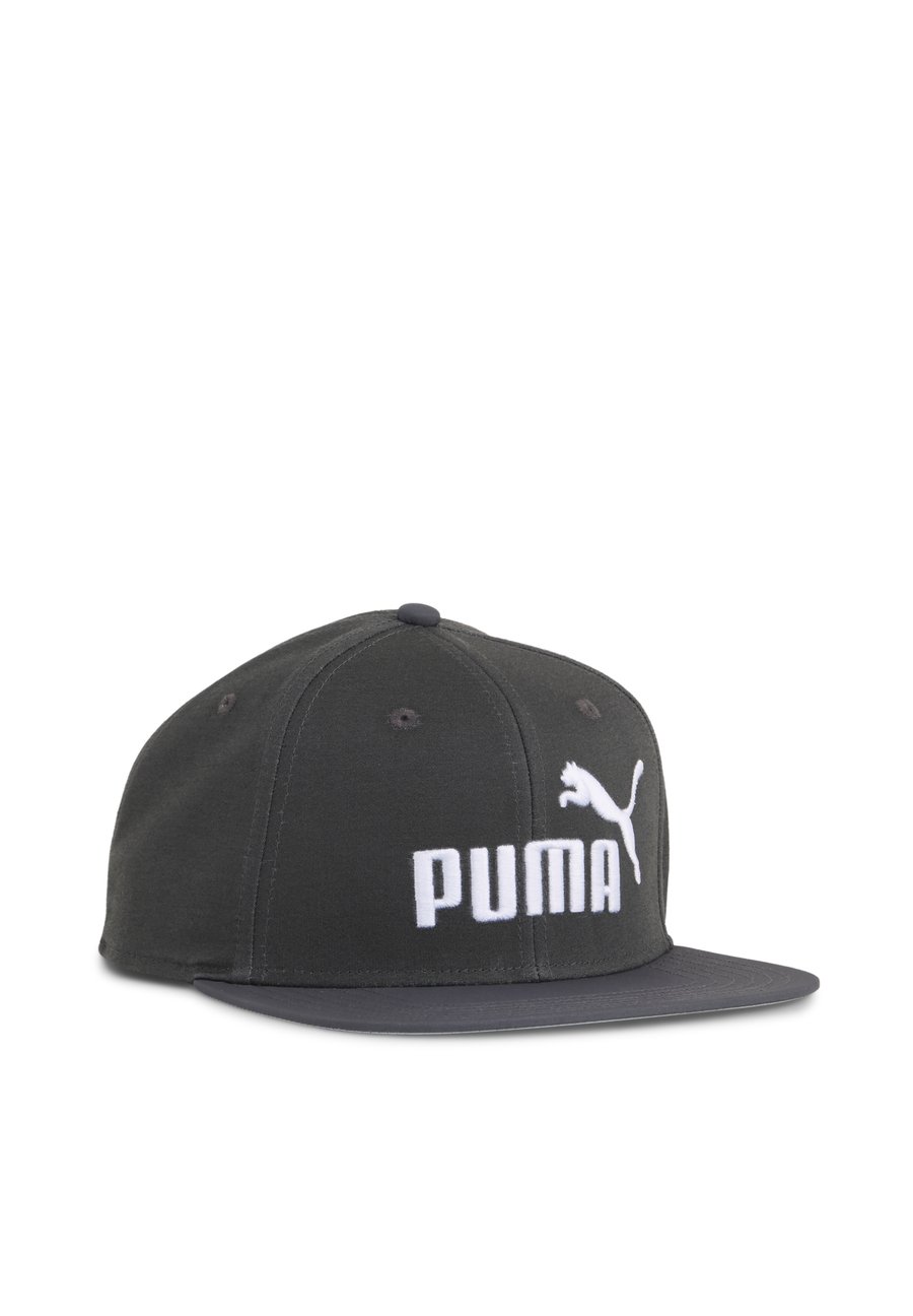 Бейсболка Puma LOGO FLAT BRIM , Dusky Gray/Grey
Бейсболка Puma LOGO FLAT BRIM , Dusky Gray/Grey