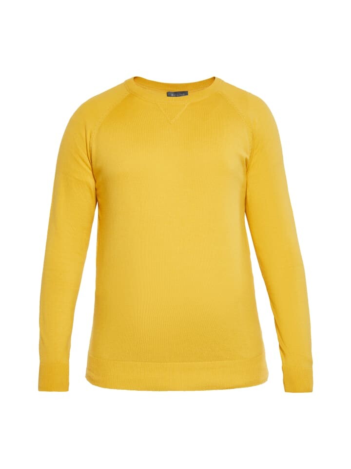 Пуловер boline, цвет senfgelb
Пуловер boline, цвет senfgelb