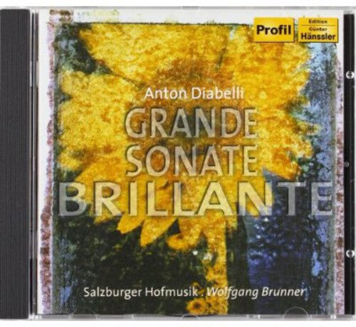 CD диск Diabelli / Brunner / Salzburger Hofmusik: Grand Sonata Brillante
CD диск Diabelli / Brunner / Salzburger Hofmusik: Grand Sonata Brillante