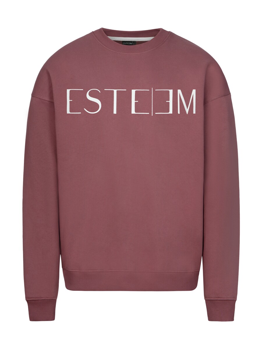 Толстовка ESTEEM, ржаво-красный
Толстовка ESTEEM, ржаво-красный