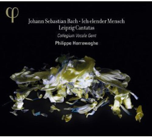 CD диск Bach / Collegium Vocale Gent / Herreweghe: Ich Elender Mensch: Leipzig Cantatas
CD диск Bach / Collegium Vocale Gent / Herreweghe: Ich Elender Mensch: Leipzig Cantatas