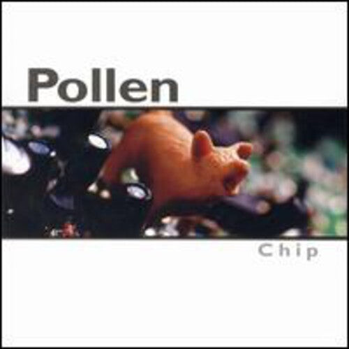CD диск Pollen: Chip
CD диск Pollen: Chip