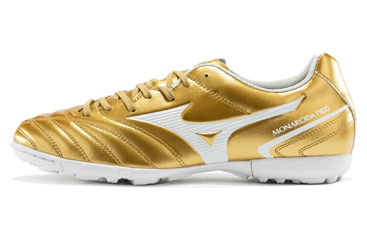 Футбольные кроссовки Mizuno Monarcida мужские
Футбольные кроссовки Mizuno Monarcida мужские