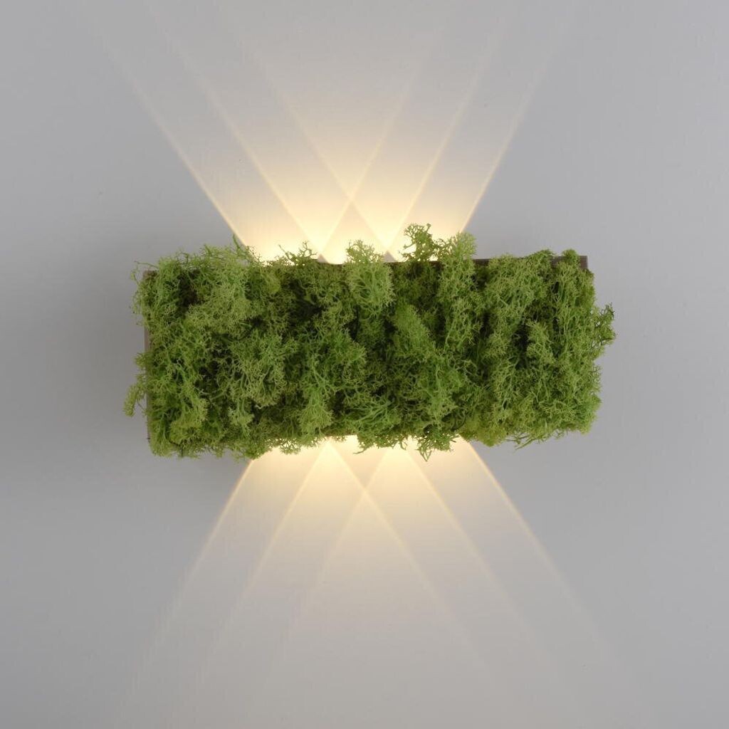 Just Light Светодиодный настенный светильник Green Carlo в цвете мха и естественной темноты 4,8 Вт 130 лм, зеленый
Just Light Светодиодный настенный светильник Green Carlo в цвете мха и естественной темноты 4,8 Вт 130 лм, зеленый