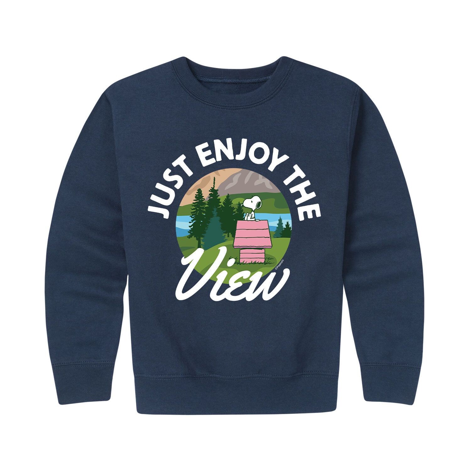 Флисовый свитшот с графическим рисунком Peanuts Just Enjoy The View для мальчиков 8–20 лет Licensed Character
Флисовый свитшот с графическим рисунком Peanuts Just Enjoy The View для мальчиков 8–20 лет Licensed Character