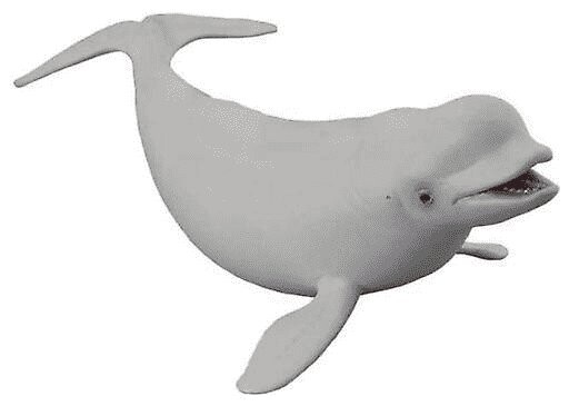 Collecta, Коллекционная фигурка, Белуха
Collecta, Коллекционная фигурка, Белуха