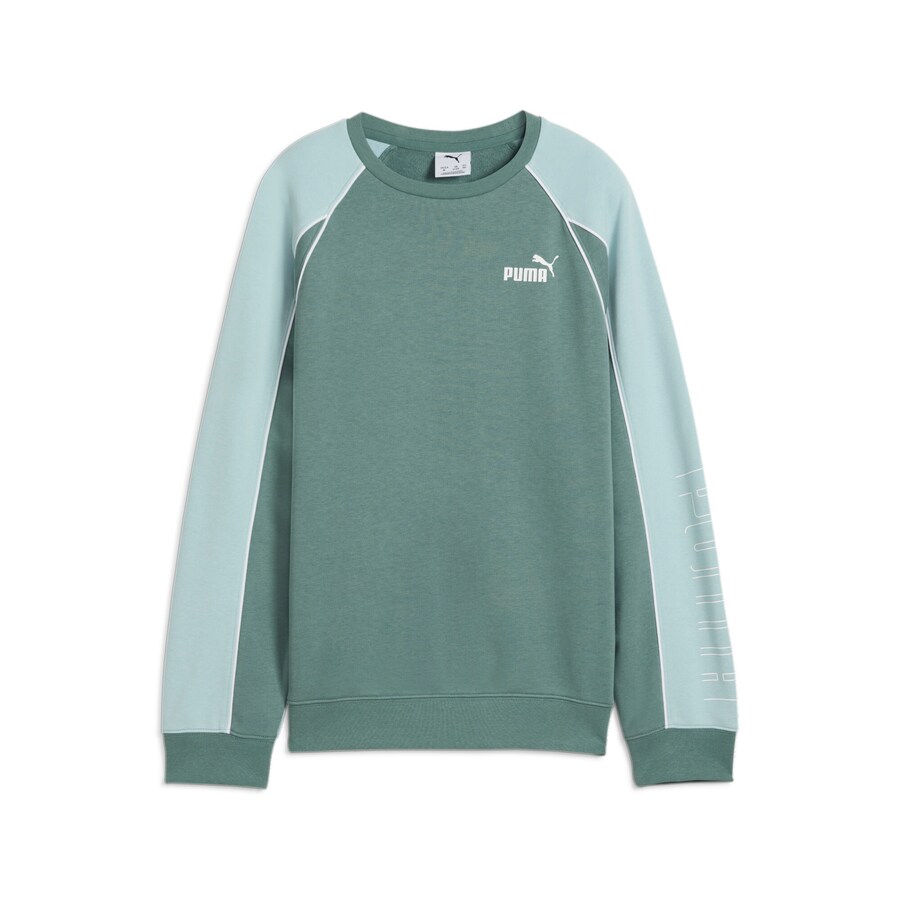 Толстовка PUMA, цвет Mint/Jade
Толстовка PUMA, цвет Mint/Jade
