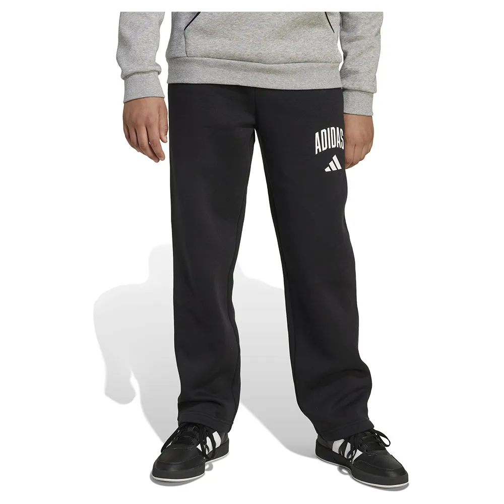 Брюки adidas Seasonals Essentials Collegiate Typography, черный
Брюки adidas Seasonals Essentials Collegiate Typography, черный