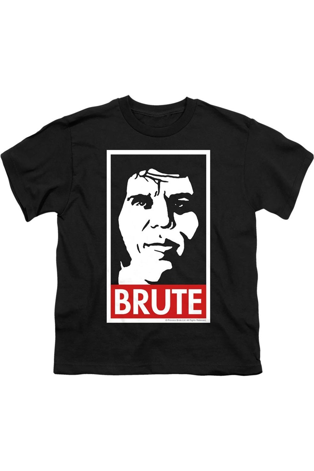 Футболка с коротким рукавом "Принцесса-невеста" для детей Gildan, черный
Футболка с коротким рукавом "Принцесса-невеста" для детей Gildan, черный