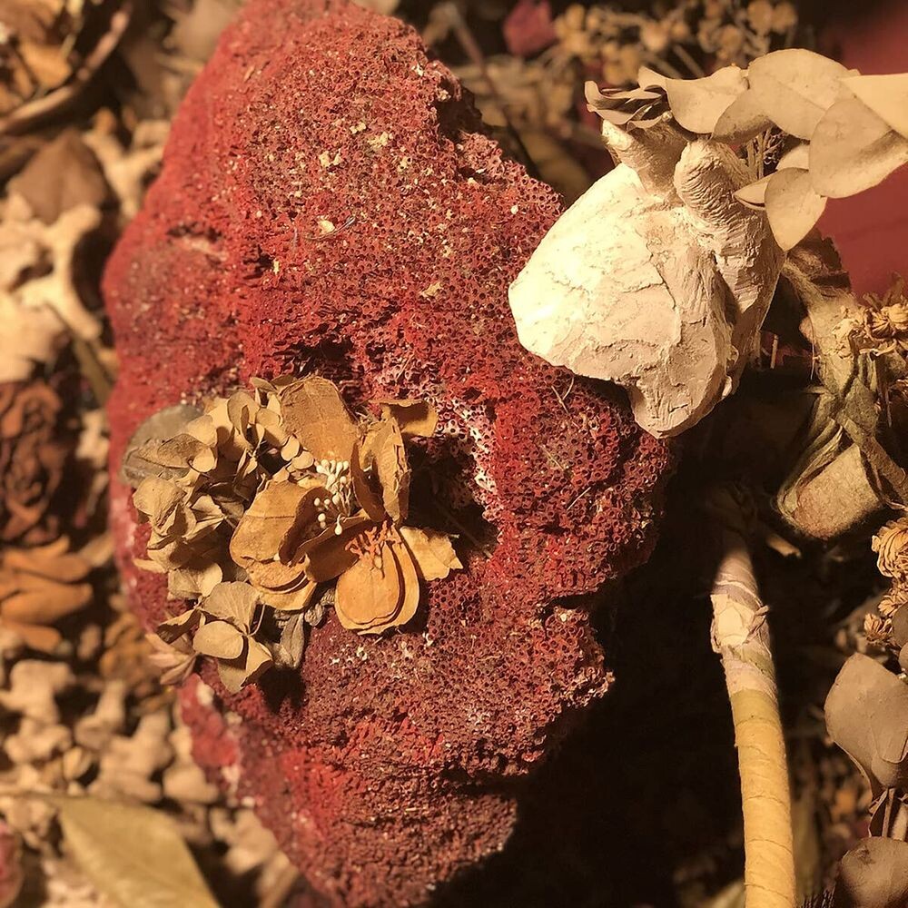 Виниловая пластинка LP Silver As It Was Before - Sylph
Виниловая пластинка LP Silver As It Was Before - Sylph