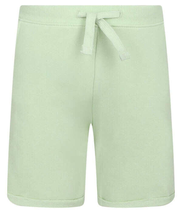 Шорты Guess Active Regular Fit, светло-зеленый
Шорты Guess Active Regular Fit, светло-зеленый