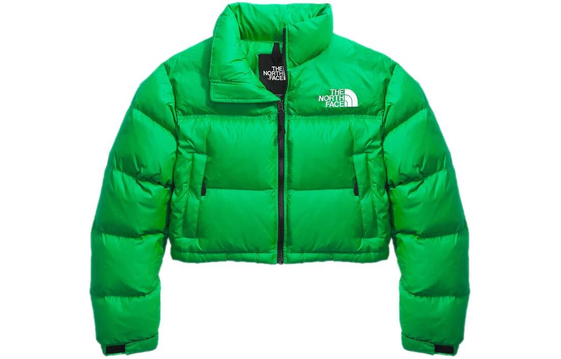 Коллекция одежды Куртка женская зеленая The North Face
Коллекция одежды Куртка женская зеленая The North Face