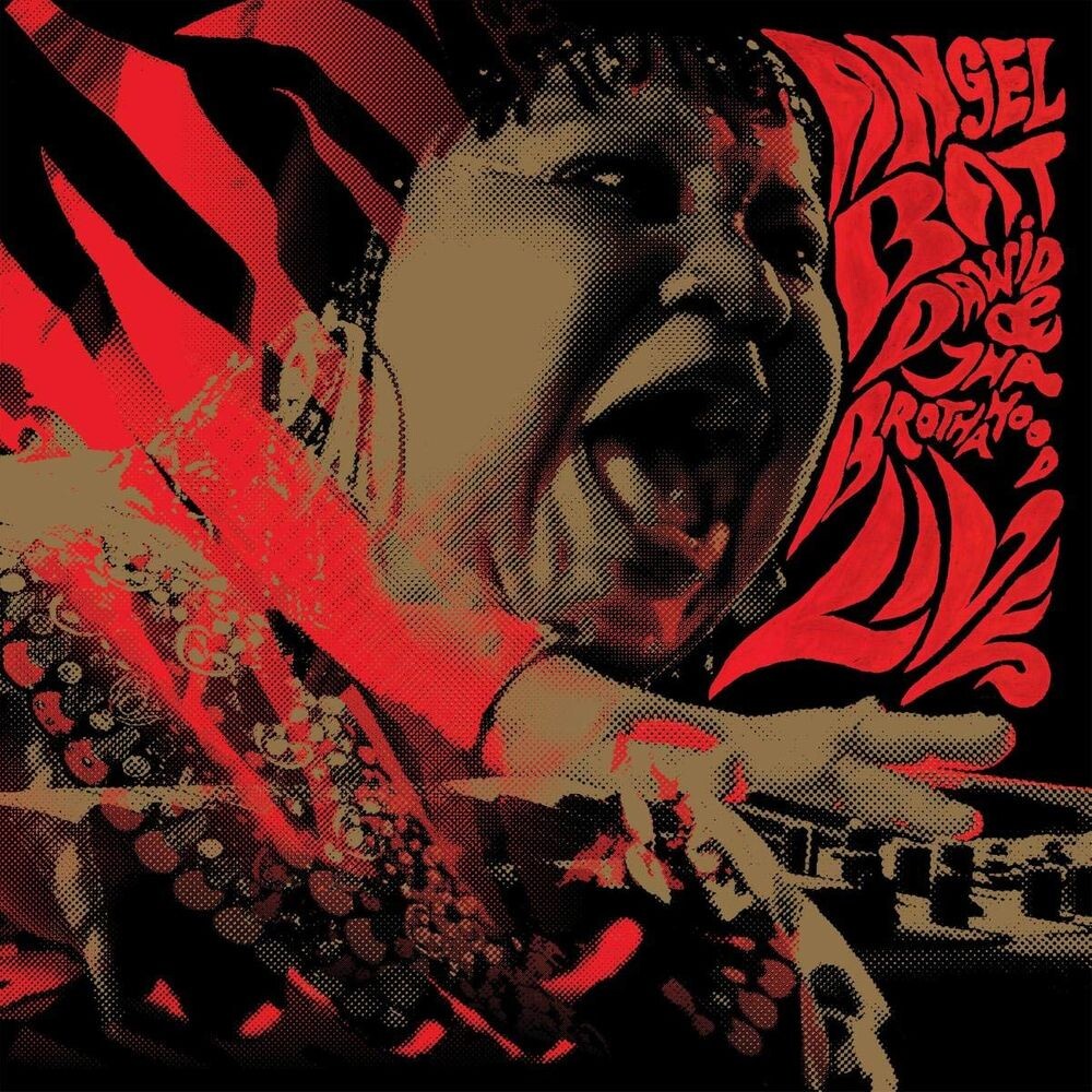 Виниловая пластинка LP Live - Angel Bat Dawid
Виниловая пластинка LP Live - Angel Bat Dawid