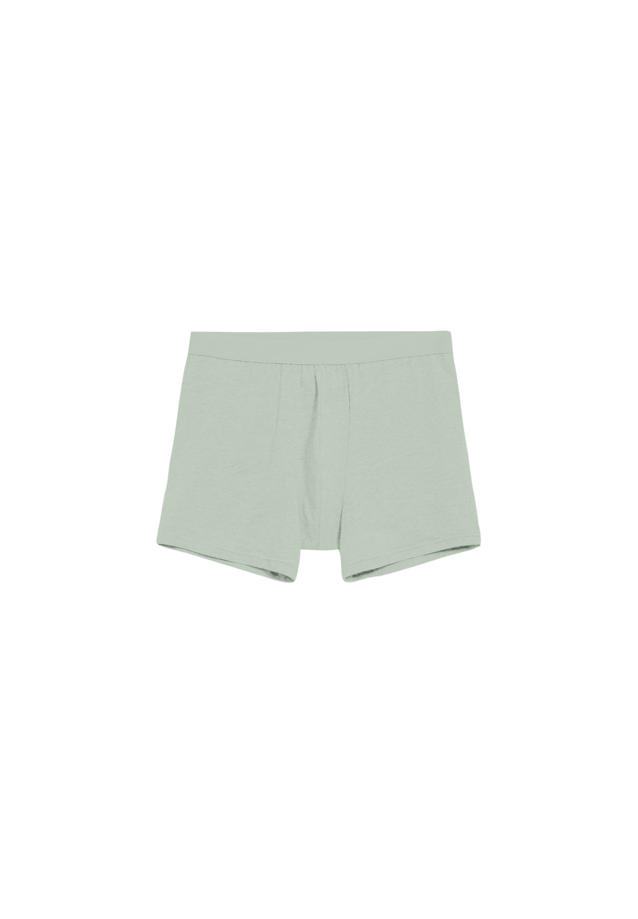 ARMEDANGELS Боксеры 'Ricaard' в цвете Light Green
ARMEDANGELS Боксеры 'Ricaard' в цвете Light Green