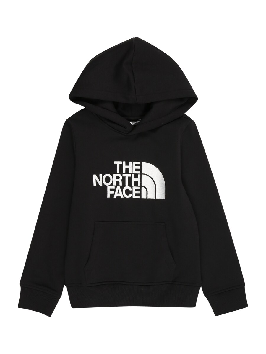 Спортивная толстовка THE NORTH FACE DREW PEAK, черный
Спортивная толстовка THE NORTH FACE DREW PEAK, черный