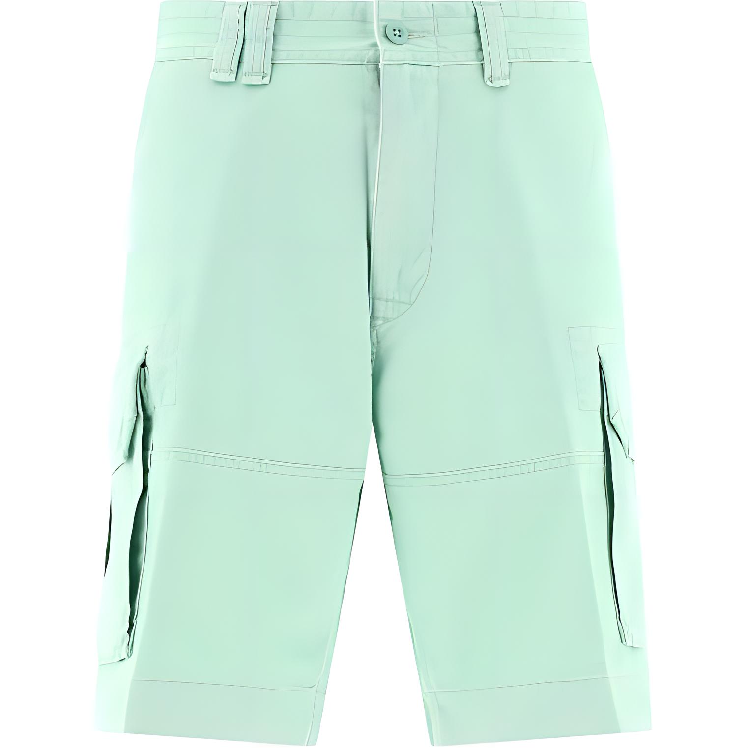 Карго-шорты с нашивкой Logo Patch Polo Ralph Lauren, зеленый
Карго-шорты с нашивкой Logo Patch Polo Ralph Lauren, зеленый