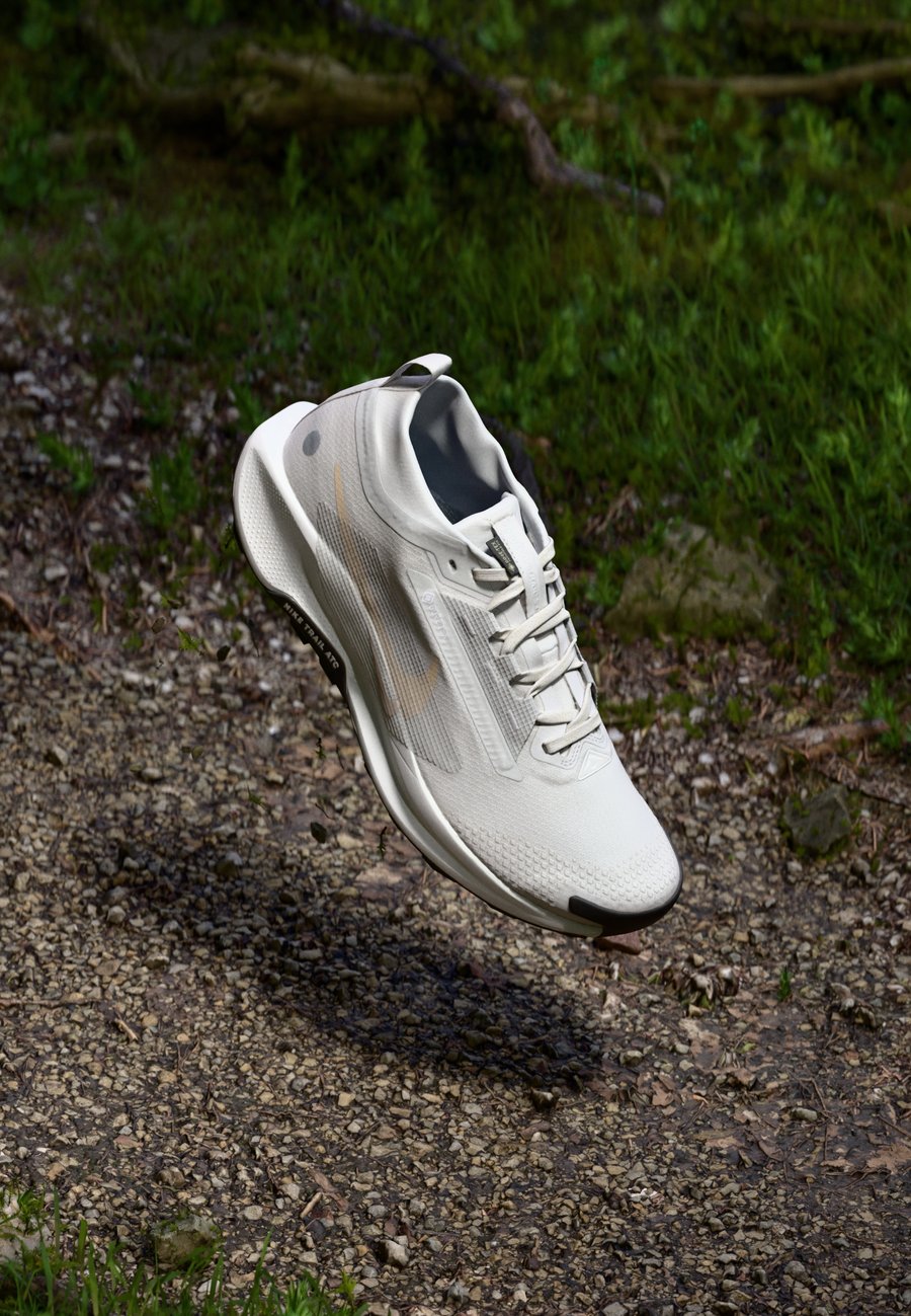 Кроссовки Nike Performance REACTX PEGASUS 5 GTX, Vast Grey/Sanddrift/Summit White/Black/Grey
Кроссовки Nike Performance REACTX PEGASUS 5 GTX, Vast Grey/Sanddrift/Summit White/Black/Grey