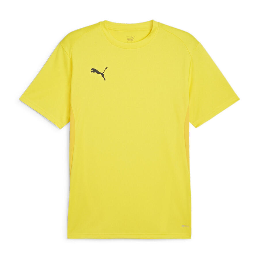 Мужская футболка Puma teamGOAL jersey 658636
Мужская футболка Puma teamGOAL jersey 658636