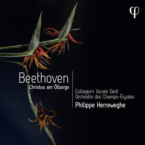 CD диск Collegium Vocale Gent / Orch Des Champs-Elysees: Beethoven: Christus Am Olberge
CD диск Collegium Vocale Gent / Orch Des Champs-Elysees: Beethoven: Christus Am Olberge