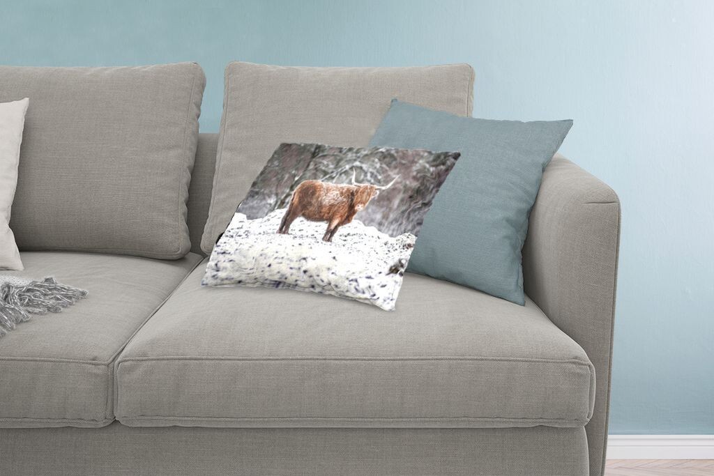 MuchoWow Scottish Highlanders - Шотландский горец в заснеженном лесу - 60x40 см - чехлы на подушки - декоративные наволочки - декоративные наволочки
MuchoWow Scottish Highlanders - Шотландский горец в заснеженном лесу - 60x40 см - чехлы на подушки - декоративные наволочки - декоративные наволочки