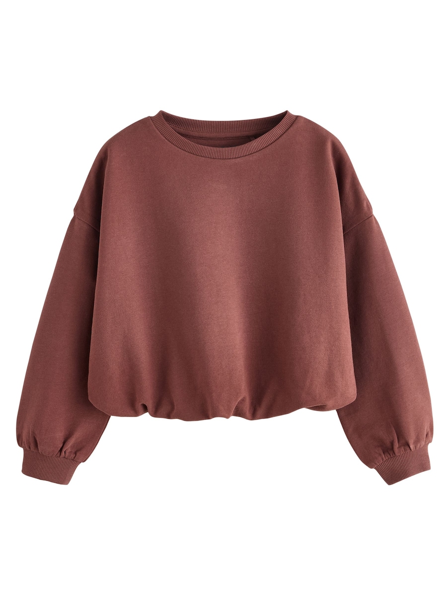 Толстовка Next, шоколадный
Толстовка Next, шоколадный